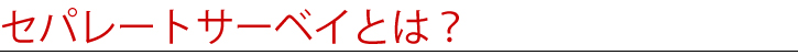 セパレートサーベイとは？