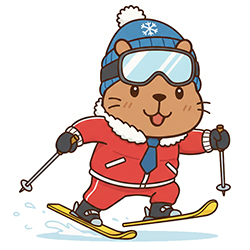 過去のトレンドレポート